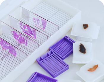 Histology Slide Box-1