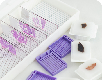 Histology Slide Box